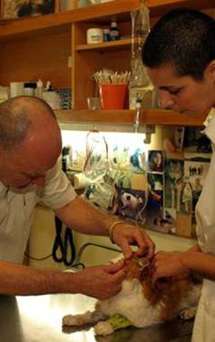 דניאל - מרפאה וטרינרית