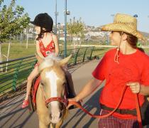 Yael Hager - Dogs hospice