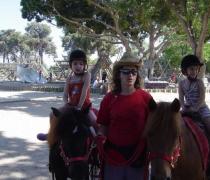 Yael Hager - Dogs hospice