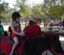 יעל האגר - הוספיס לכלבים