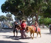 Yael Hager - Dogs hospice