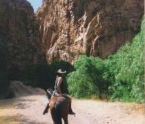 Yael Hager - Dogs hospice