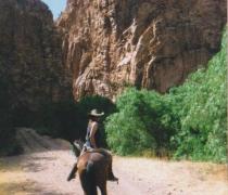 כמובן שגם שם לא הפסיקה לרכב על סוסים. כמובן שגם שם לא הפסיקה לרכב על סוסים.