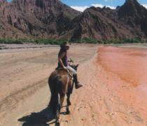 Yael Hager - Dogs hospice