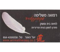 התמקדה בעיקר בטיפולי דיקור ופרחי-באך. התמקדה בעיקר בטיפולי דיקור ופרחי-באך.