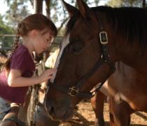 יעל האגר - הוספיס לכלבים