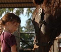 יעל האגר - הוספיס לכלבים