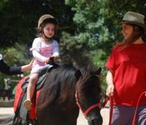 כשחזרה, הקימה את חוות "הפיצפונים" –חווה ניידת לסוסי פוני, לאירועים, פסטיבלים וימי הולדת כשחזרה, הקימה את חוות "הפיצפונים" –חווה ניידת לסוסי פוני, לאירועים, פסטיבלים וי