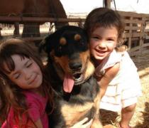 יעל האגר - הוספיס לכלבים