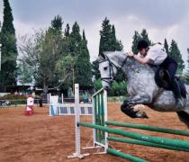 Yael Hager - Dogs hospice