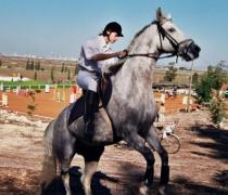 יעל האגר - הוספיס לכלבים