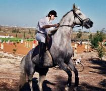 Yael Hager - Dogs hospice