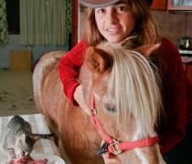 יעל האגר - הוספיס לכלבים