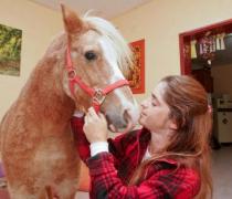 יעל האגר - הוספיס לכלבים