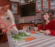 יעל האגר - הוספיס לכלבים